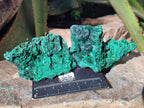 Natural Silky Malachite Specimens x 12 From Kasompe, Congo - Toprock Gemstones and Minerals 