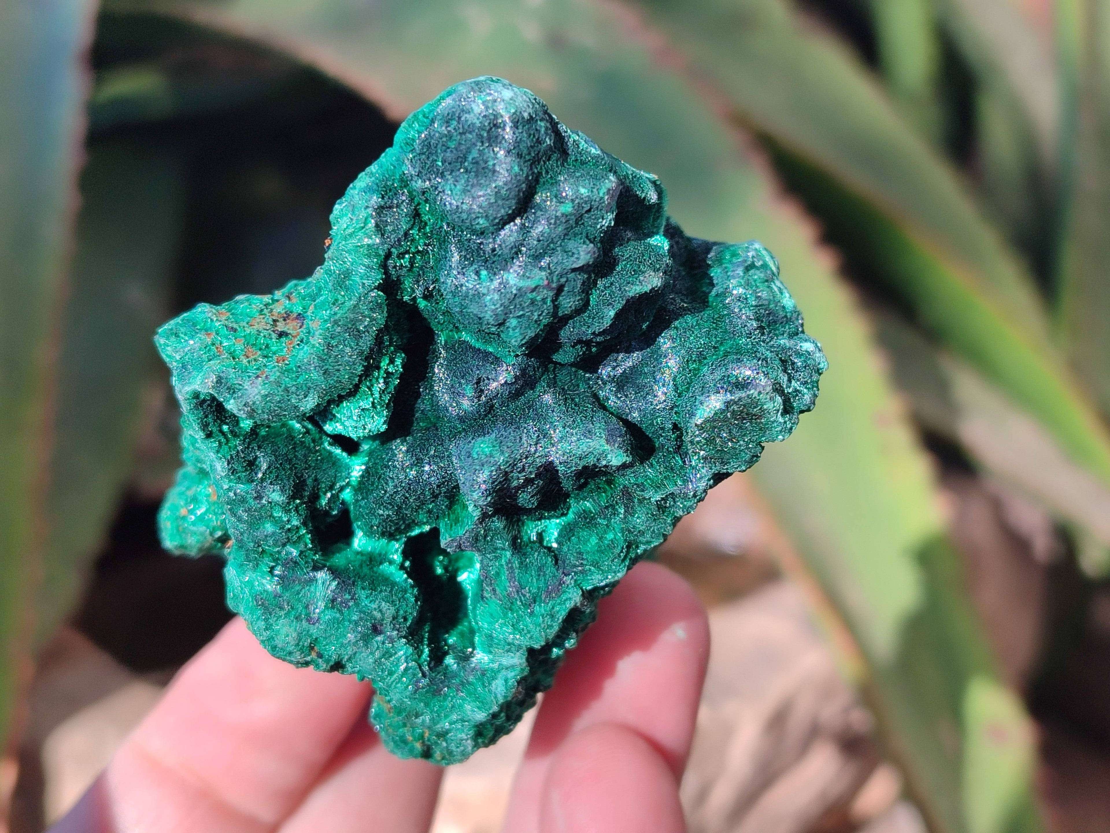 Natural Silky Malachite Specimens x 12 From Kasompe, Congo - Toprock Gemstones and Minerals 