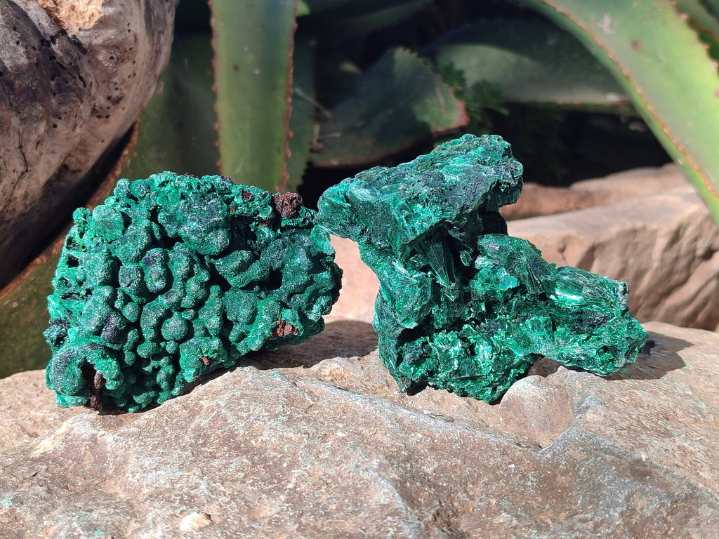Natural Silky Malachite Specimens x 12 From Kasompe, Congo - Toprock Gemstones and Minerals 