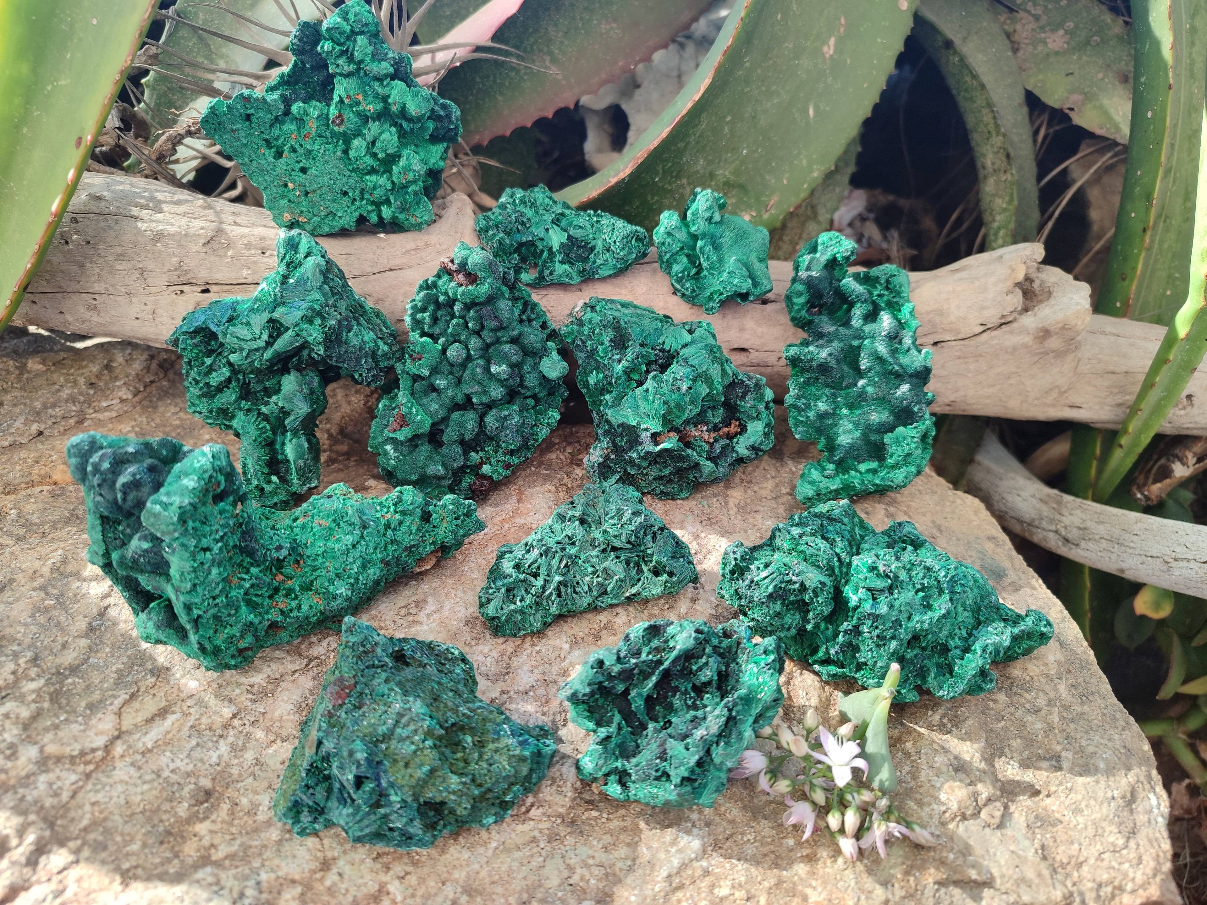 Natural Silky Malachite Specimens x 12 From Kasompe, Congo - Toprock Gemstones and Minerals 