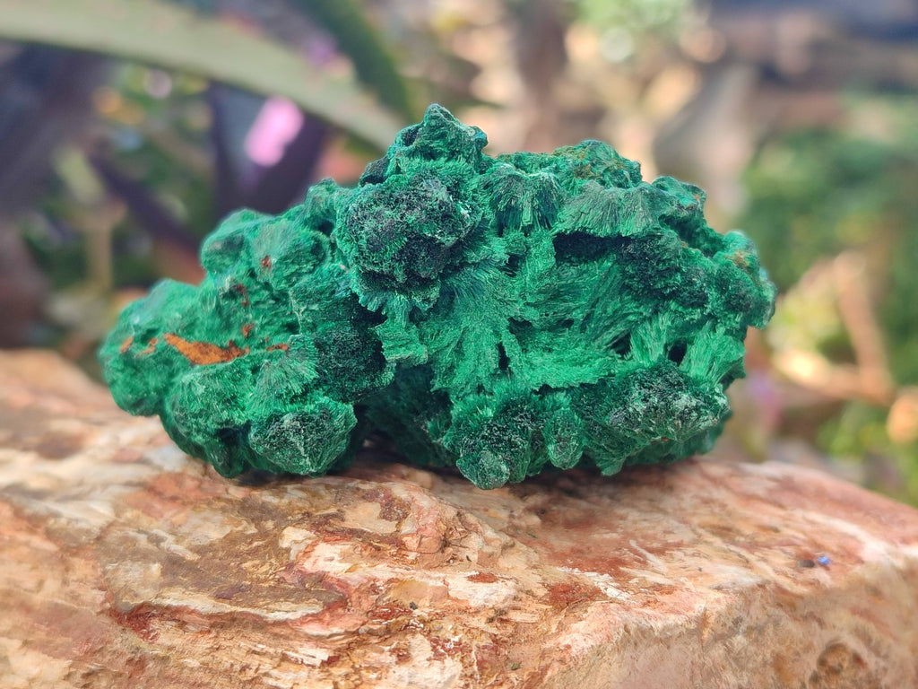 Natural Silky Malachite Specimens x 12 From Kasompe, Congo - Toprock Gemstones and Minerals 