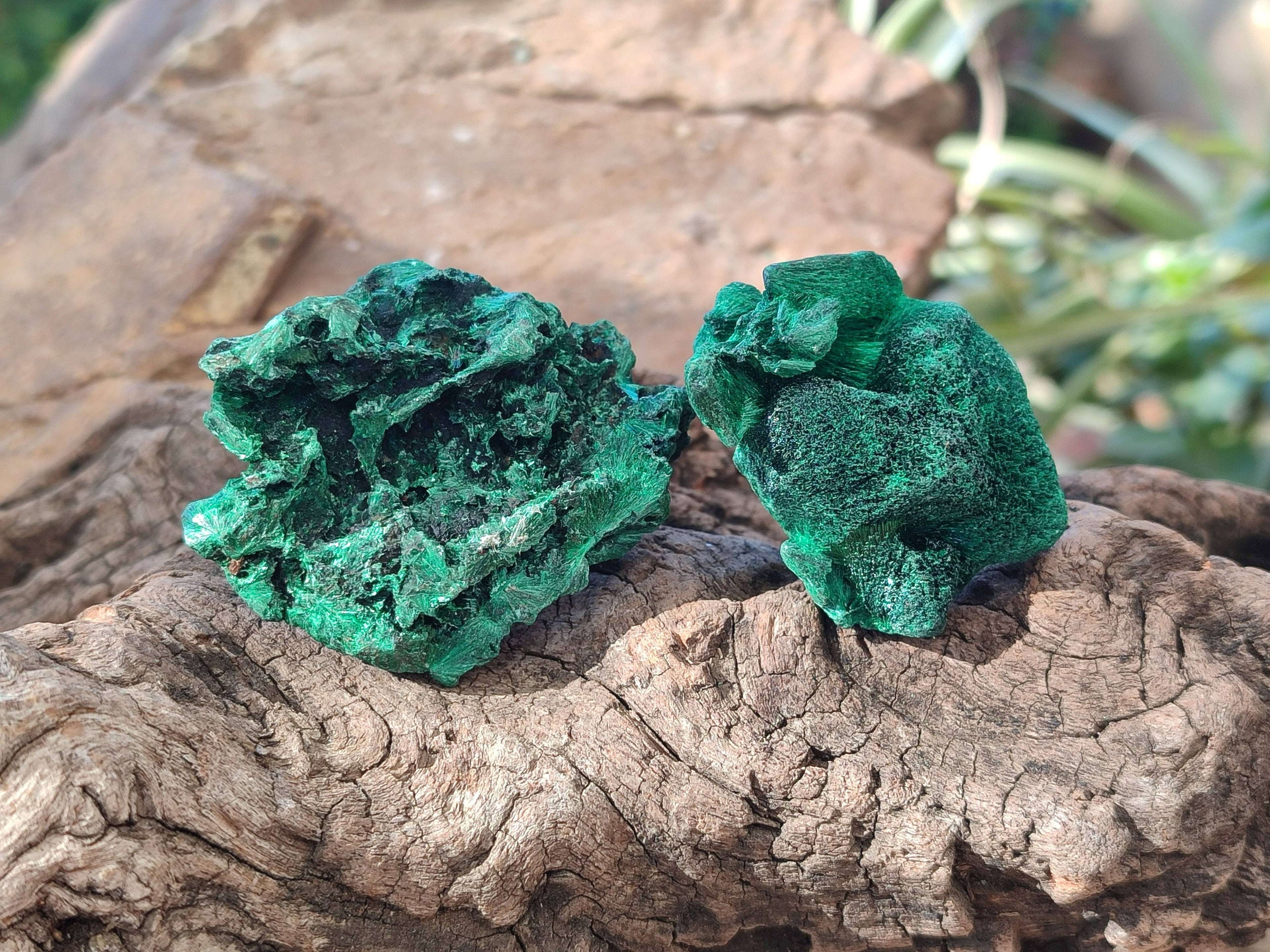 Natural Silky Malachite Specimens x 12 From Kasompe, Congo - Toprock Gemstones and Minerals 