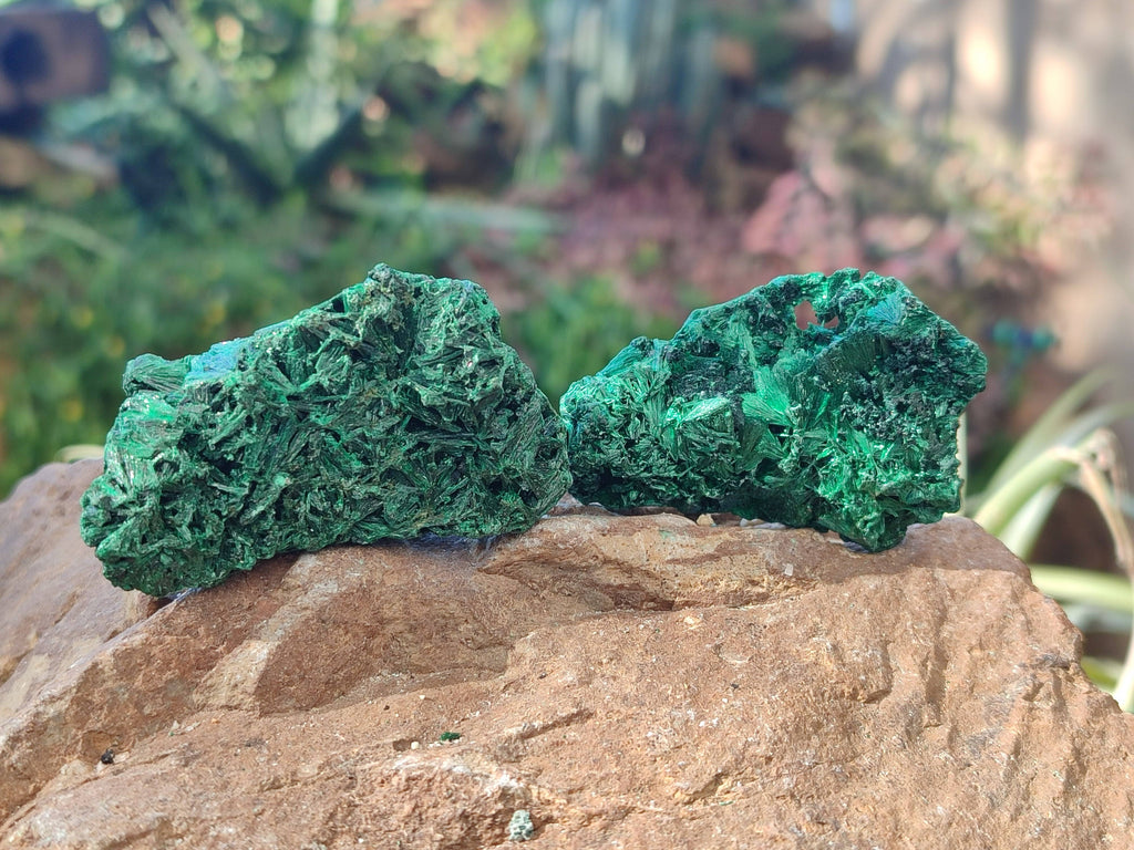 Natural Silky Malachite Specimens x 12 From Kasompe, Congo - Toprock Gemstones and Minerals 