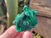 Natural Silky Malachite Specimens x 12 From Kasompe, Congo - Toprock Gemstones and Minerals 