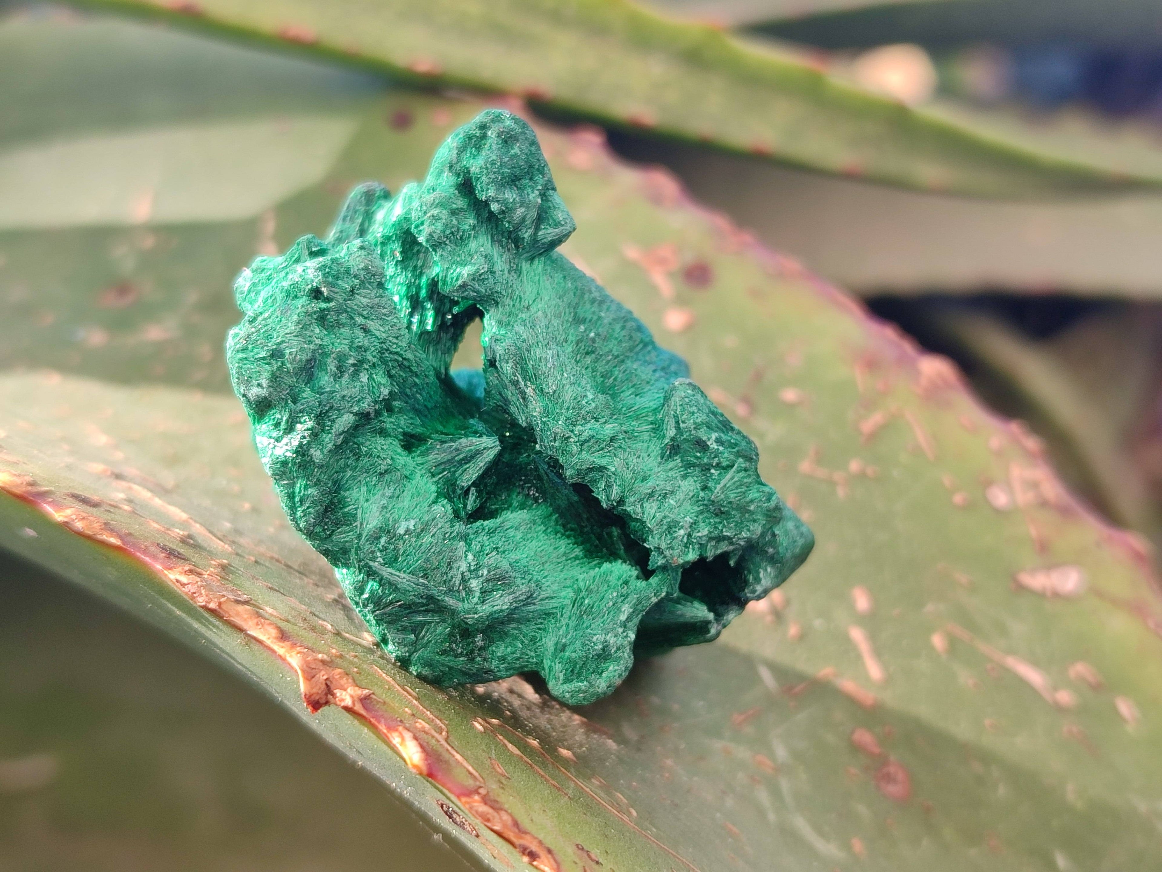 Natural Silky Malachite Specimens x 12 From Kasompe, Congo - Toprock Gemstones and Minerals 