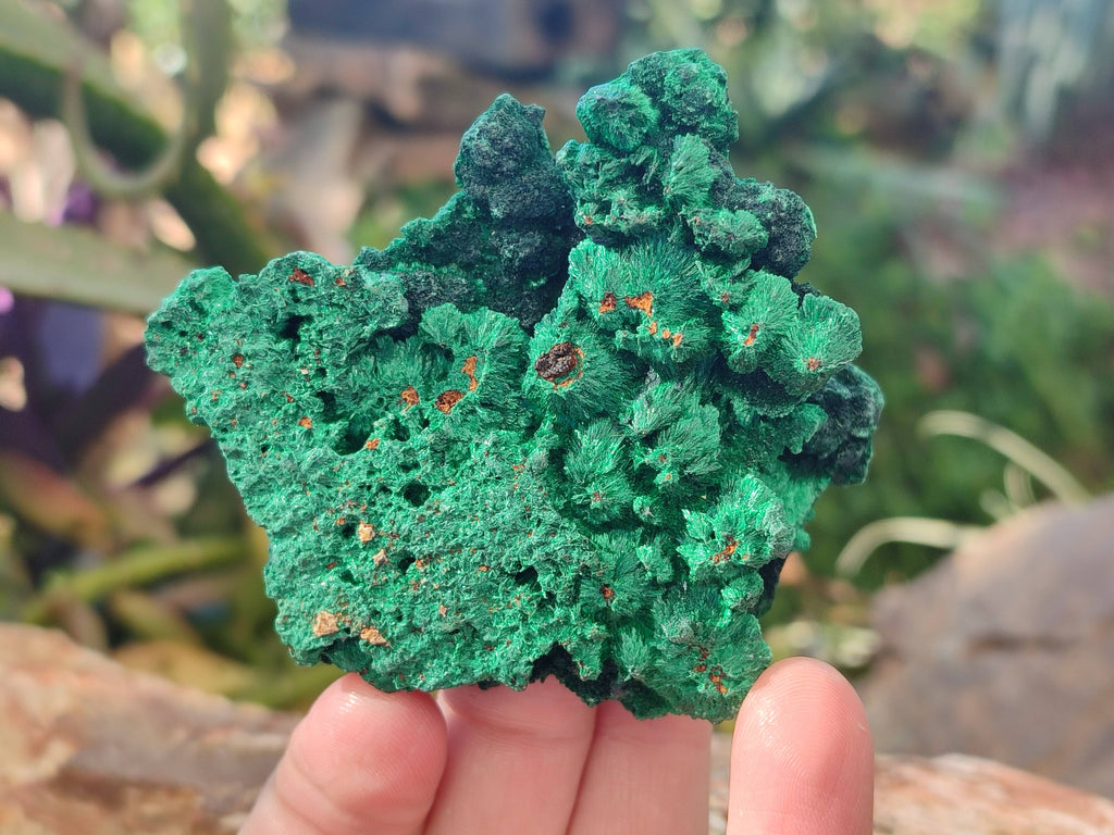 Natural Silky Malachite Specimens x 12 From Kasompe, Congo - Toprock Gemstones and Minerals 