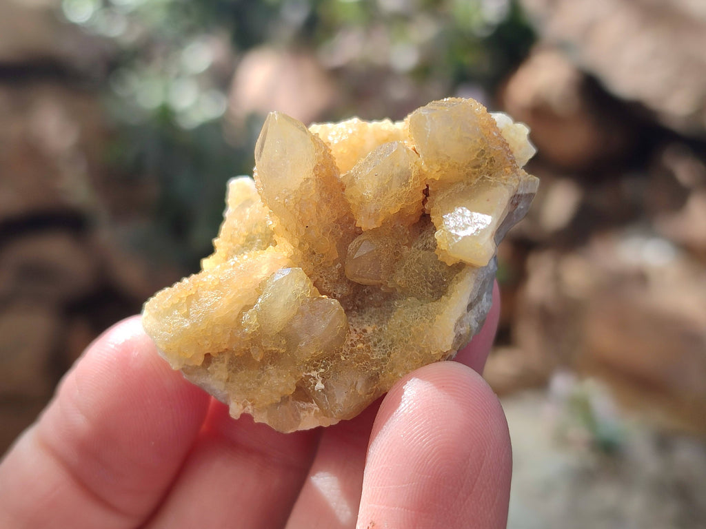 Natural Spirit Quartz Specimens x 35 From Boekenhouthoek, South Africa - Toprock Gemstones and Minerals 