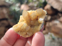 Natural Spirit Quartz Specimens x 35 From Boekenhouthoek, South Africa - Toprock Gemstones and Minerals 