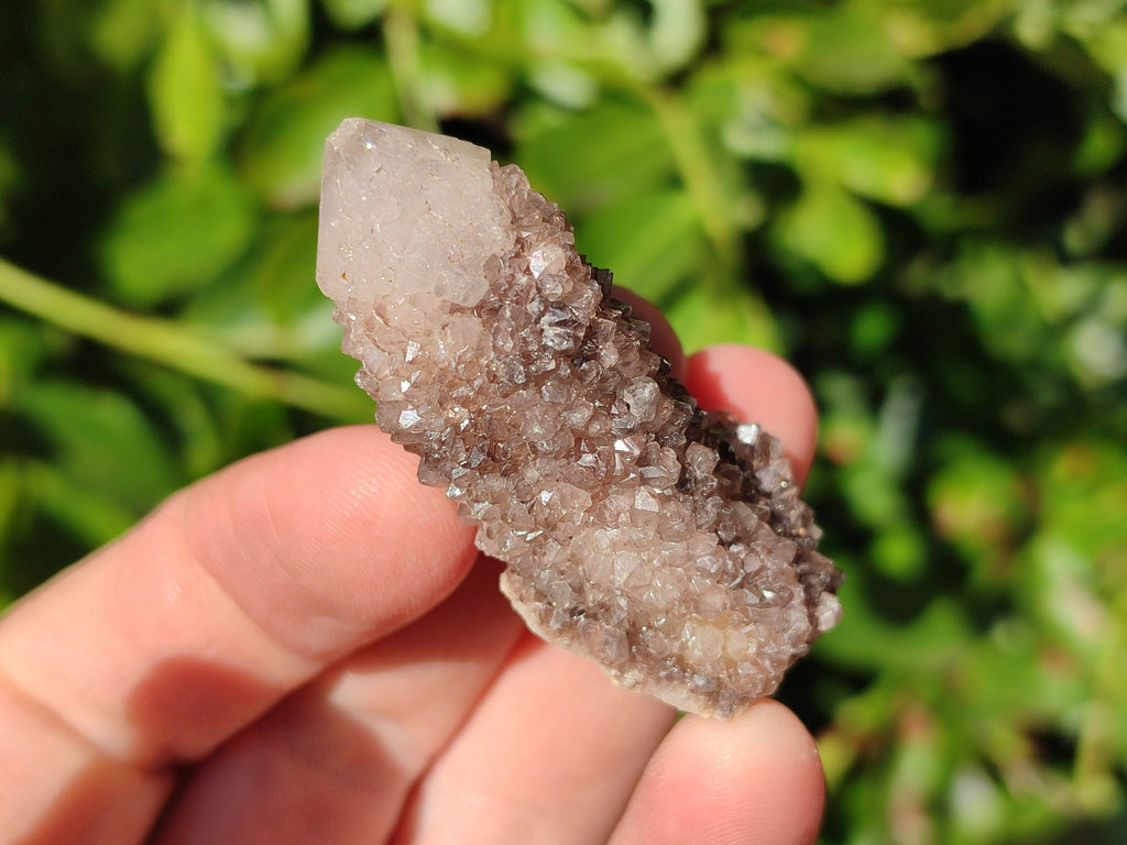 Natural Spirit Quartz Specimens x 35 From Boekenhouthoek, South Africa - Toprock Gemstones and Minerals 