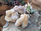 Natural Spirit Quartz Specimens x 35 From Boekenhouthoek, South Africa - Toprock Gemstones and Minerals 