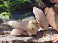 Natural Spirit Quartz Specimens x 35 From Boekenhouthoek, South Africa - Toprock Gemstones and Minerals 