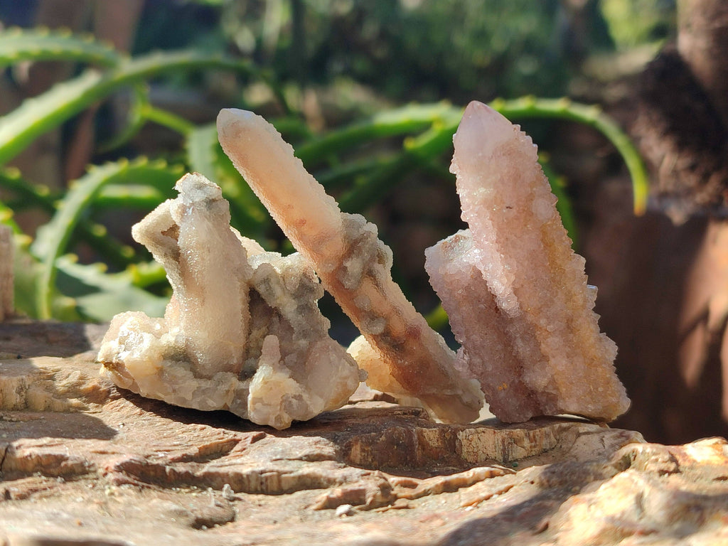 Natural Spirit Quartz Specimens x 35 From Boekenhouthoek, South Africa - Toprock Gemstones and Minerals 