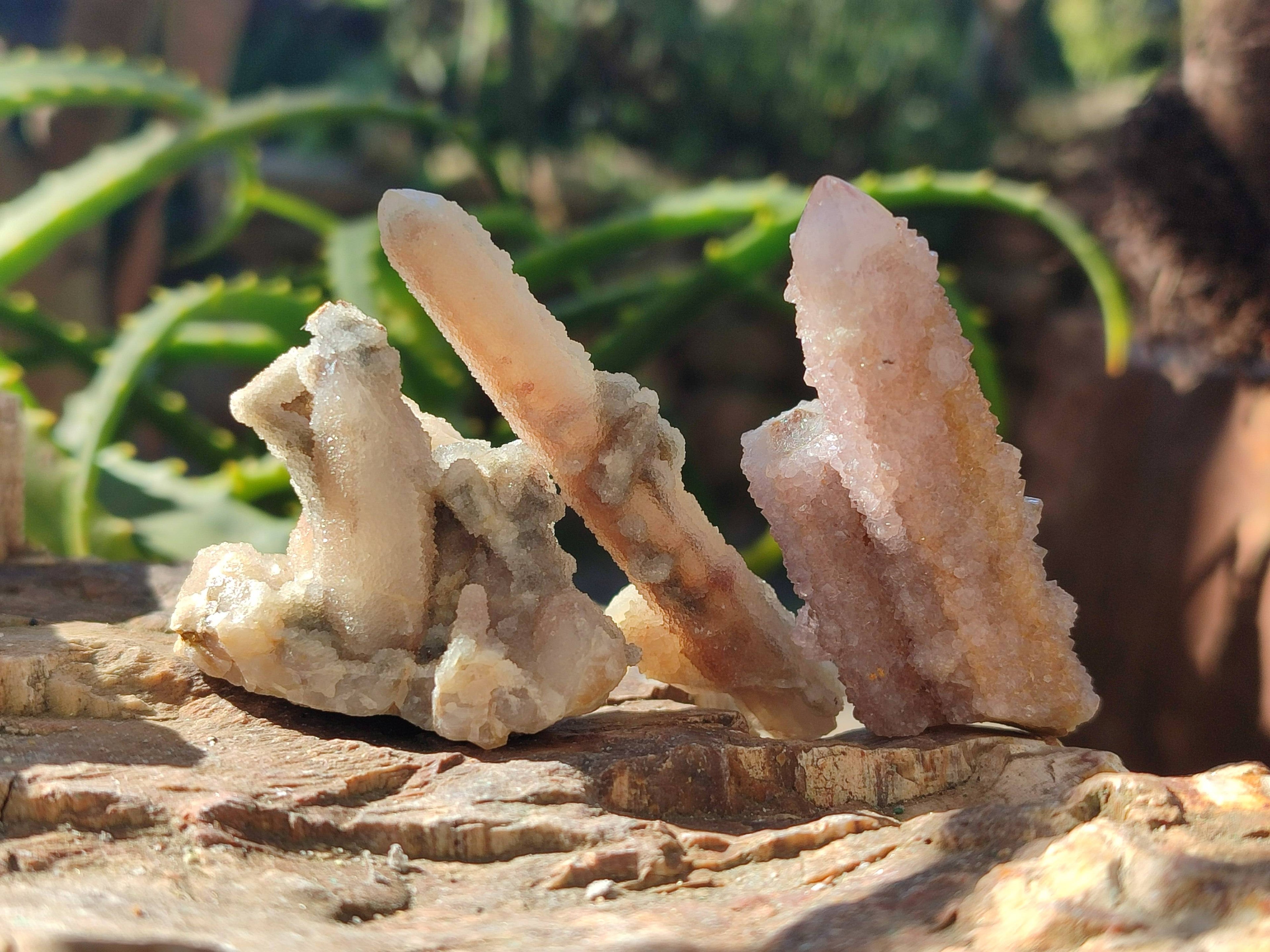 Natural Spirit Quartz Specimens x 35 From Boekenhouthoek, South Africa - Toprock Gemstones and Minerals 