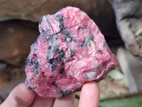 Natural Mix of Retail Items x 12 From Namibia - Toprock Gemstones and Minerals 