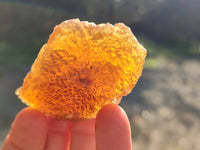 Natural Mix of Retail Items x 12 From Namibia - Toprock Gemstones and Minerals 