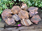 Natural Nguni Jasper Cobbed Specimens x 12 From Prieska, South Africa - Toprock Gemstones and Minerals 