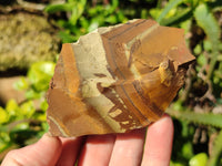 Natural Nguni Jasper Cobbed Specimens x 12 From Prieska, South Africa - Toprock Gemstones and Minerals 