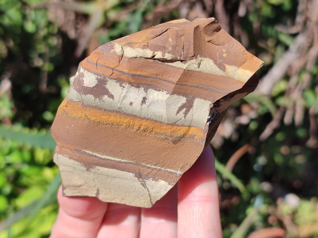 Natural Nguni Jasper Cobbed Specimens x 12 From Prieska, South Africa - Toprock Gemstones and Minerals 