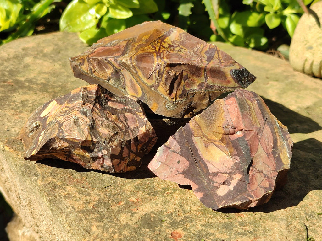 Natural Nguni Jasper Cobbed Specimens x 12 From Prieska, South Africa - Toprock Gemstones and Minerals 