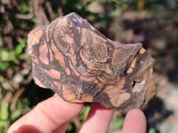 Natural Nguni Jasper Cobbed Specimens x 12 From Prieska, South Africa - Toprock Gemstones and Minerals 