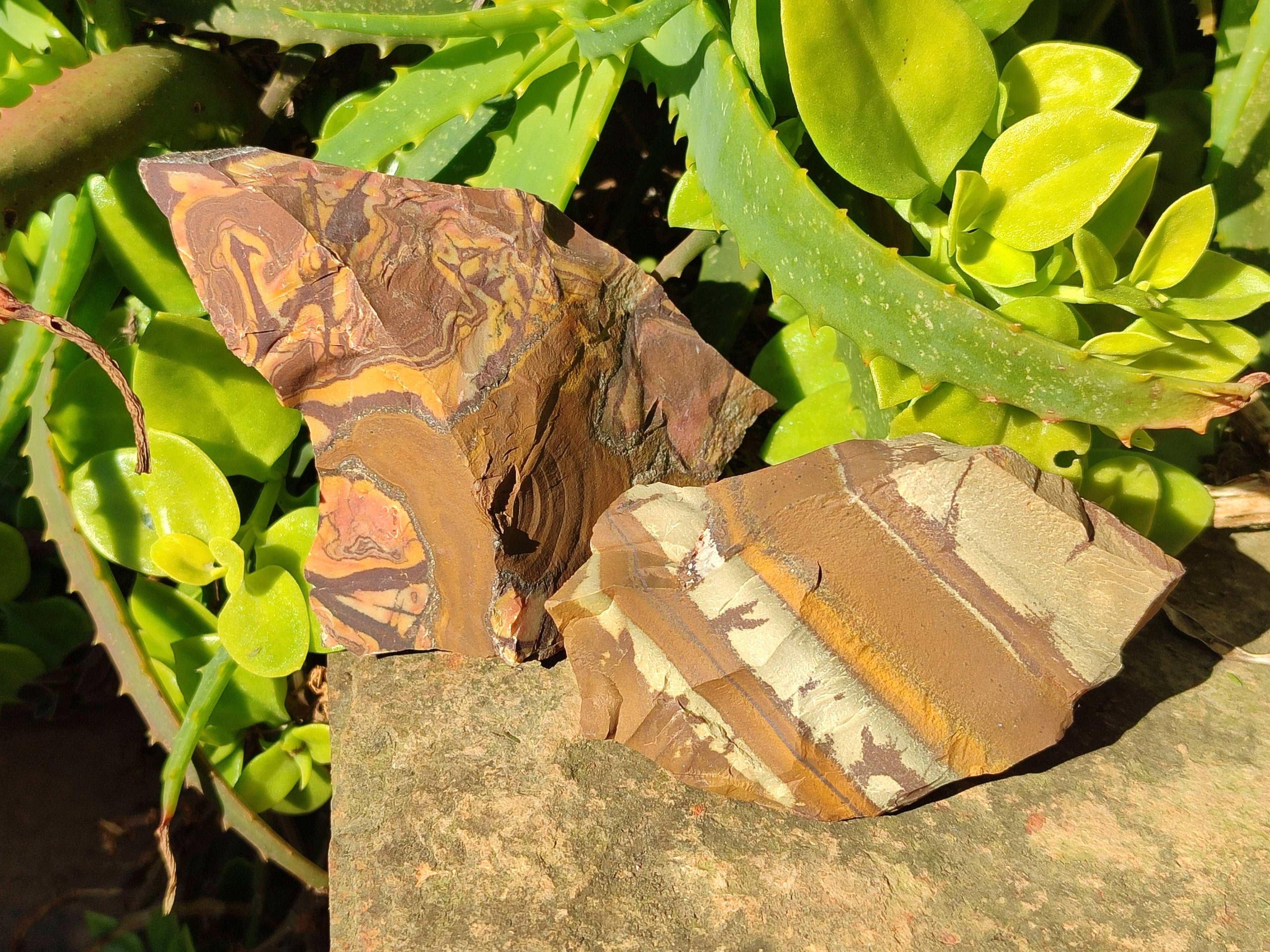 Natural Nguni Jasper Cobbed Specimens x 12 From Prieska, South Africa - Toprock Gemstones and Minerals 