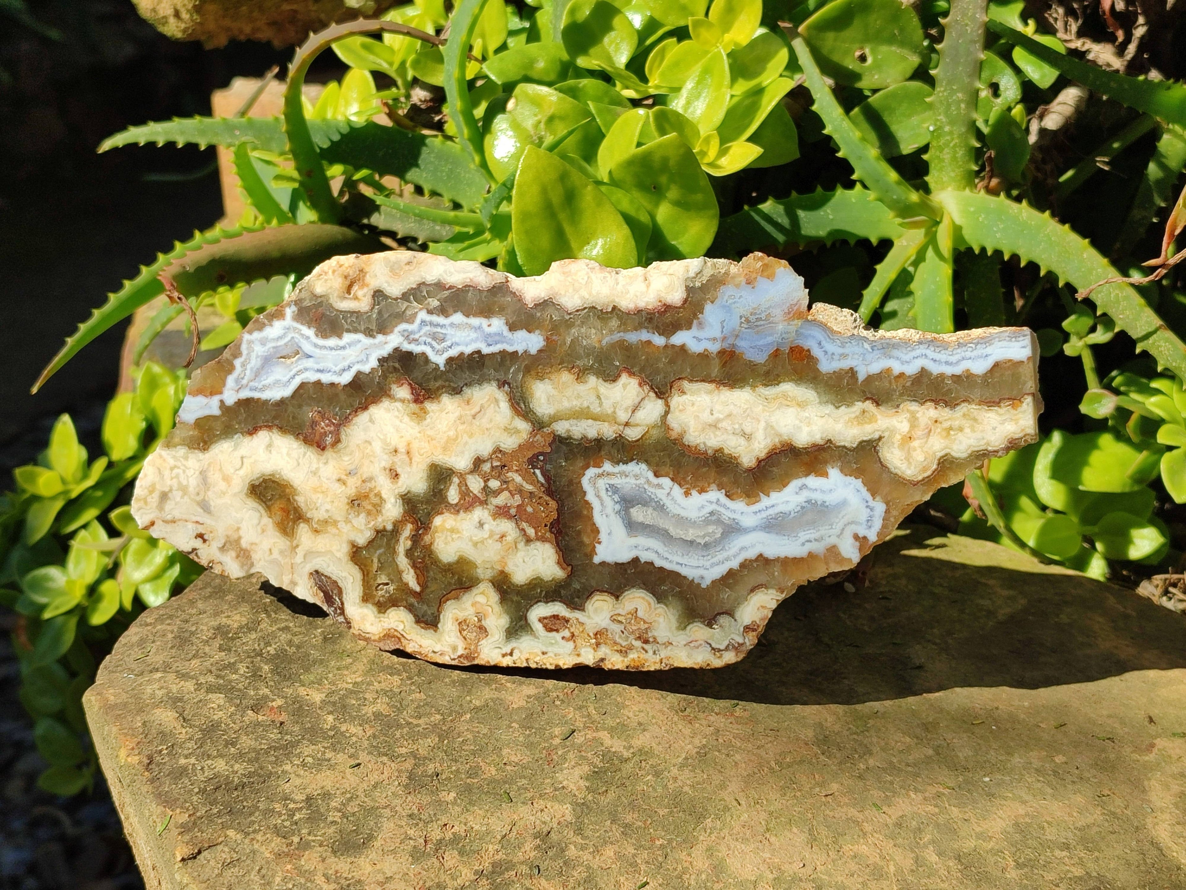Polished On One Side 'Crazy Lace' Blue Lace Agate x 3 From Namibia - Toprock Gemstones and Minerals 