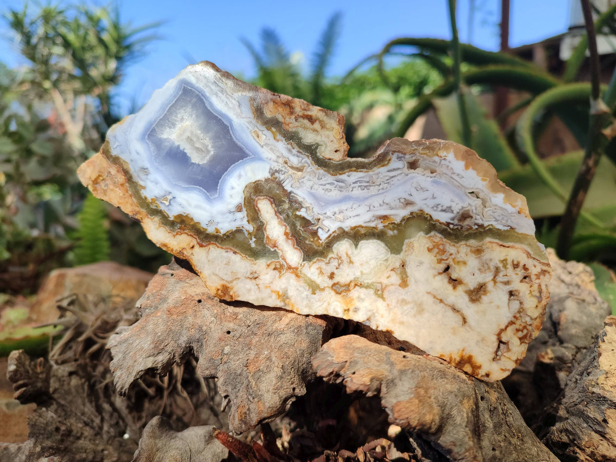 Polished On One Side 'Crazy Lace' Blue Lace Agate x 3 From Namibia - Toprock Gemstones and Minerals 