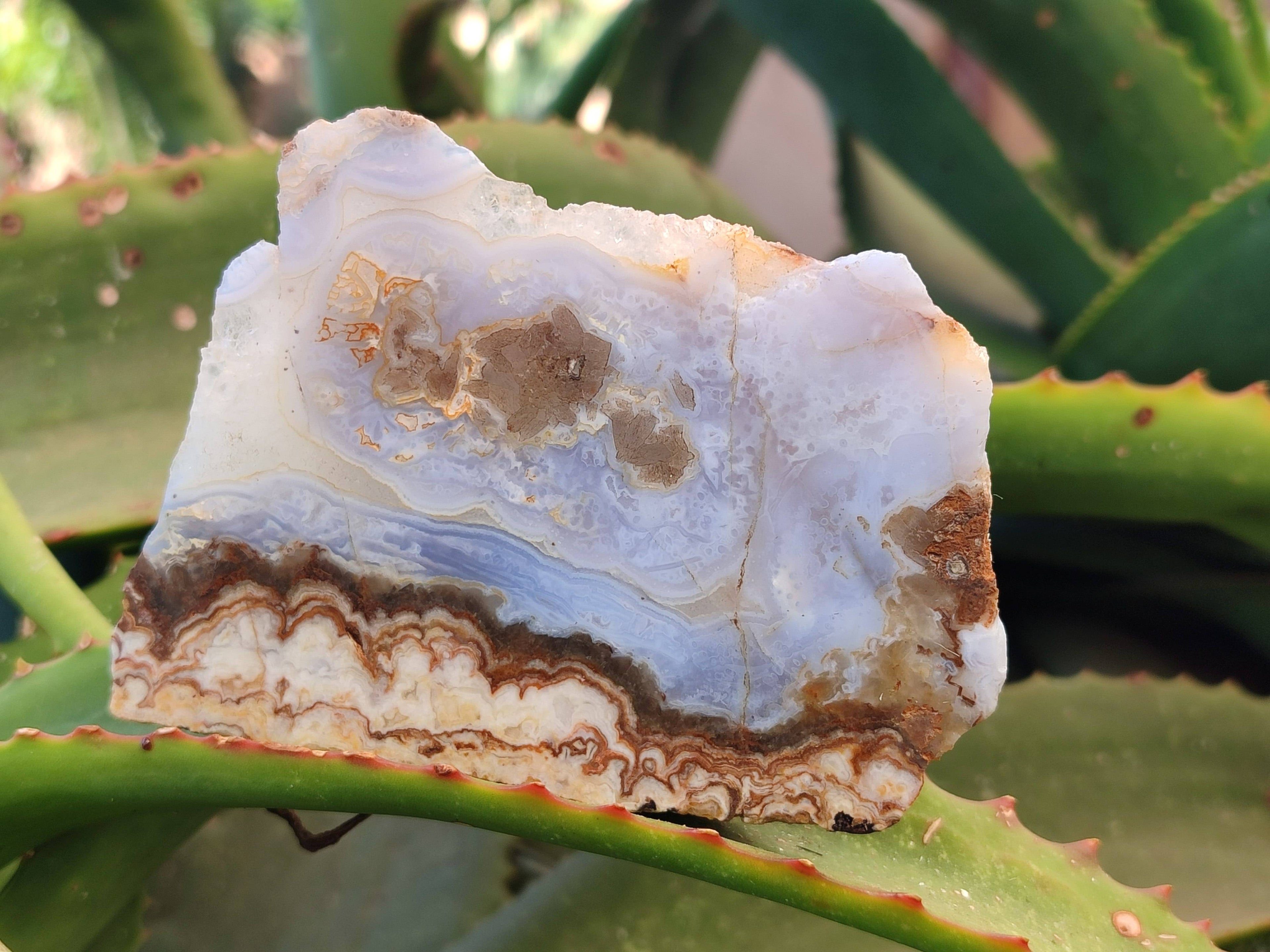 Polished On One Side 'Crazy Lace' Blue Lace Agate x 3 From Namibia - Toprock Gemstones and Minerals 