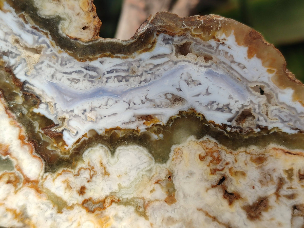 Polished On One Side 'Crazy Lace' Blue Lace Agate x 3 From Namibia - Toprock Gemstones and Minerals 