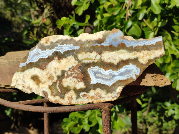 Polished On One Side 'Crazy Lace' Blue Lace Agate x 3 From Namibia - Toprock Gemstones and Minerals 