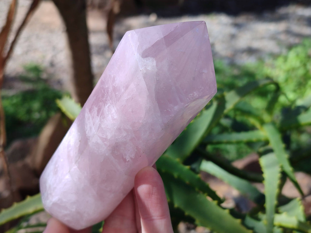 Polished Double Terminated Rose Quartz Points x 2 From Madagascar - Toprock Gemstones and Minerals 