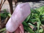 Polished Double Terminated Rose Quartz Points x 2 From Madagascar - Toprock Gemstones and Minerals 