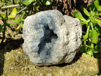 Natural Blue Celestite Geode Specimen x 1 From Sakoany, Madagascar - Toprock Gemstones and Minerals 