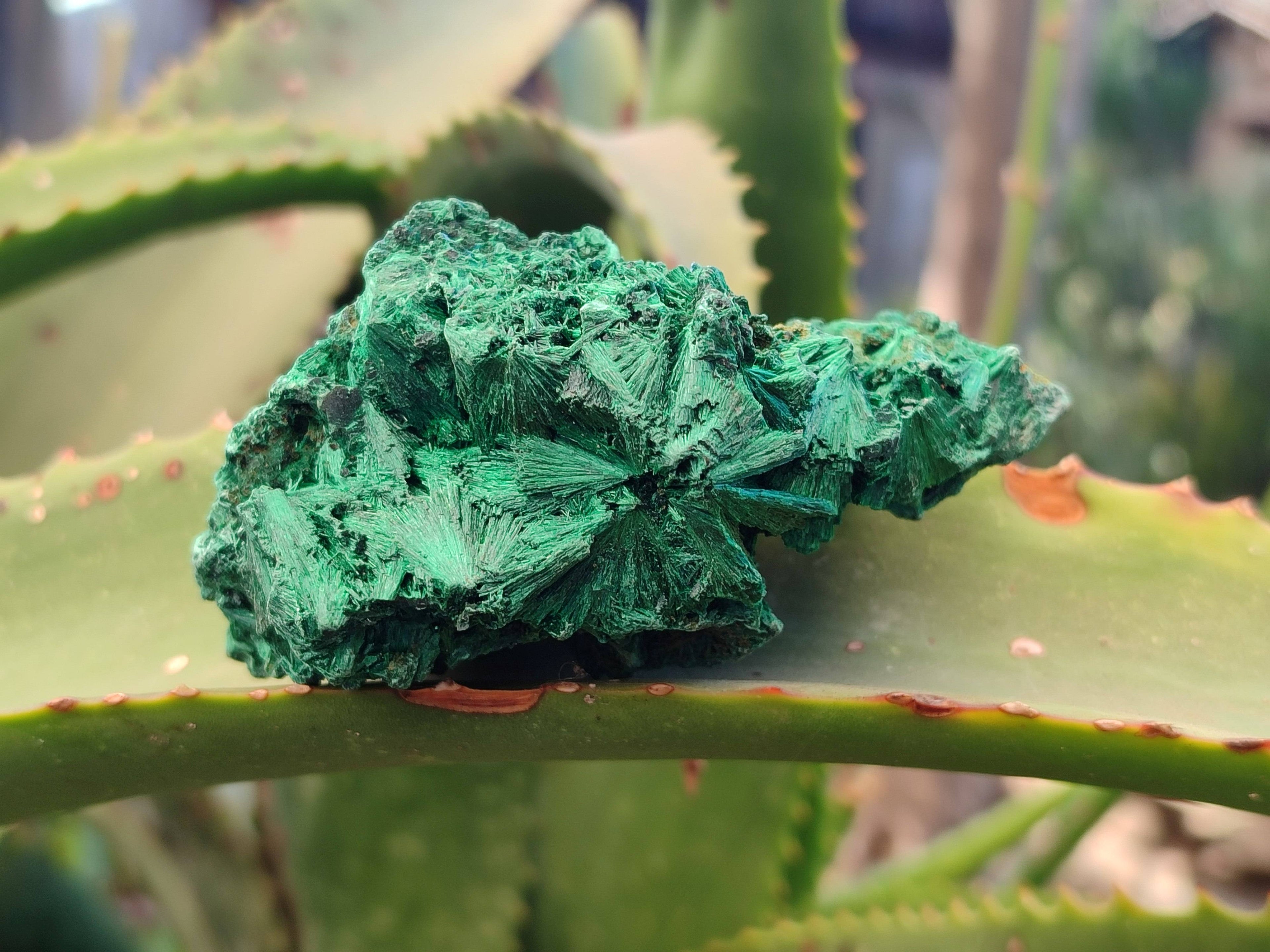 Natural Silky Malachite Specimens x 6 From Kasompe, Congo - Toprock Gemstones and Minerals 