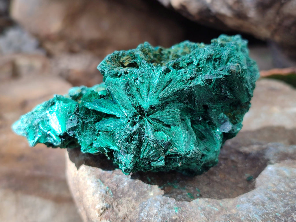 Natural Silky Malachite Specimens x 6 From Kasompe, Congo - Toprock Gemstones and Minerals 