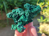 Natural Silky Malachite Specimens x 6 From Kasompe, Congo