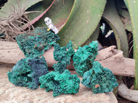 Natural Silky Malachite Specimens x 6 From Kasompe, Congo