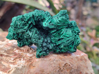 Natural Silky Malachite Specimens x 6 From Kasompe, Congo