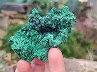 Natural Silky Malachite Specimens x 6 From Kasompe, Congo