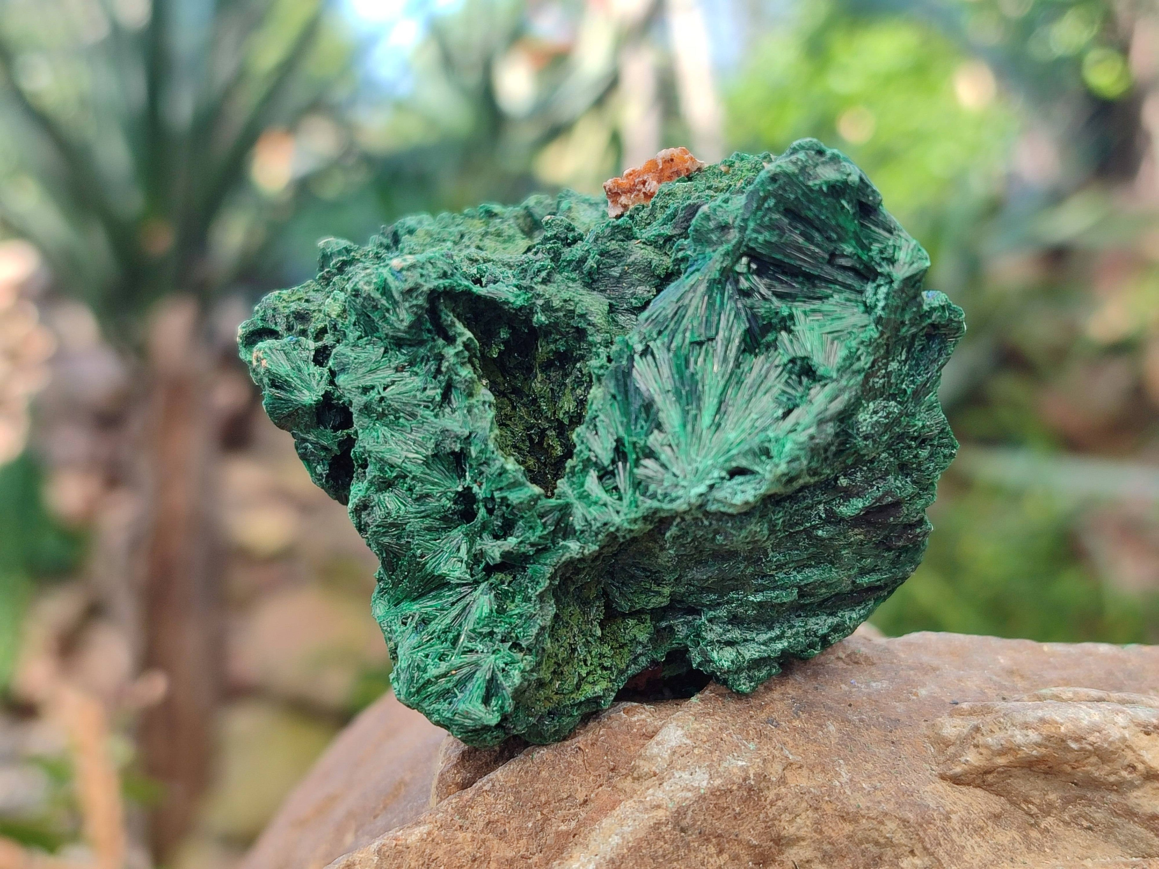 Natural Silky Malachite Specimens x 6 From Kasompe, Congo - Toprock Gemstones and Minerals 