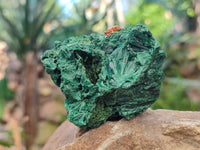 Natural Silky Malachite Specimens x 6 From Kasompe, Congo