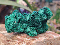 Natural Silky Malachite Specimens x 6 From Kasompe, Congo