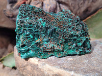 Natural Silky Malachite Specimens x 6 From Kasompe, Congo