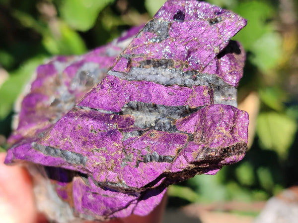 Natural Metallic Purpurite Cobbed Specimens x 6 From Erongo, Namibia