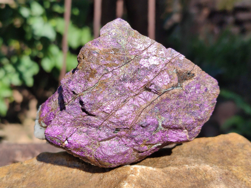 Natural Metallic Purpurite Cobbed Specimens x 6 From Erongo, Namibia - Toprock Gemstones and Minerals 
