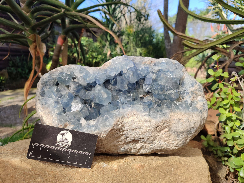 Natural Celestite Geode Specimen x 1 From Sakoany, Madagascar - Toprock Gemstones and Minerals 