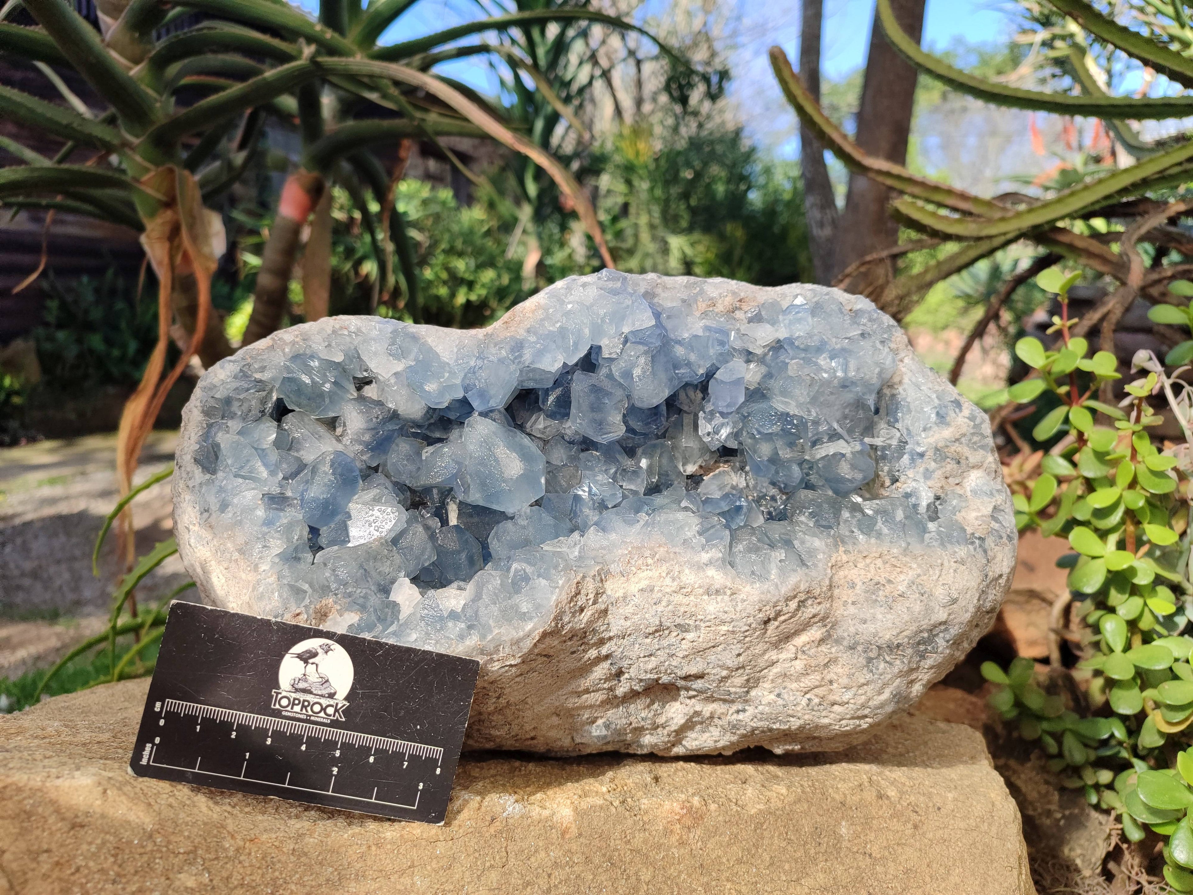 Natural Celestite Geode Specimen x 1 From Sakoany, Madagascar - Toprock Gemstones and Minerals 