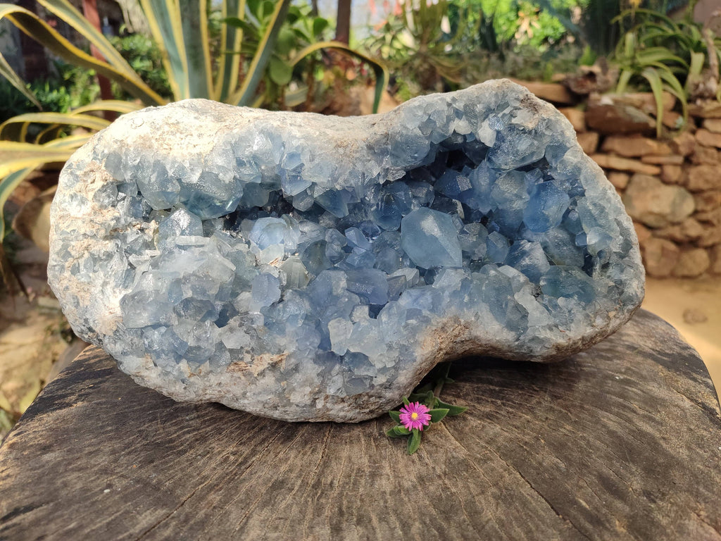 Natural Celestite Geode Specimen x 1 From Sakoany, Madagascar - Toprock Gemstones and Minerals 