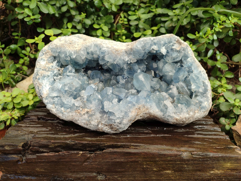 Natural Celestite Geode Specimen x 1 From Sakoany, Madagascar - Toprock Gemstones and Minerals 