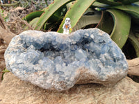 Natural Celestite Geode Specimen x 1 From Sakoany, Madagascar